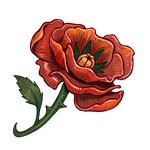 Krizantem Filizi ve Eternium Bahçeleri'nde Elçi adınızın temsili