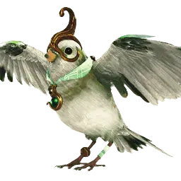  Kar Serçesi Rehberi