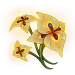 Kadife Filizi ve Eternium Bahçeleri'nde Elçi adınızın temsili